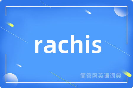 rachis