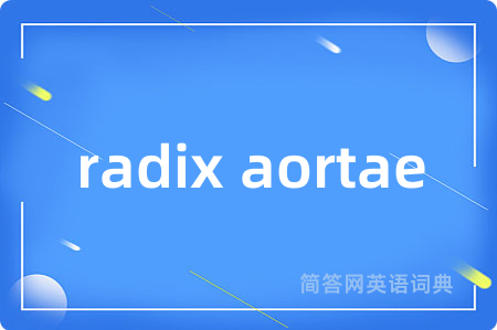 radix aortae