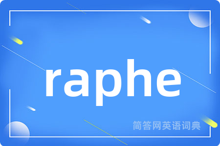 raphe是什么意思,raphe的中文翻译 raphe