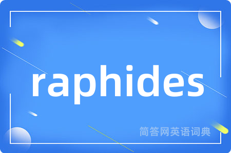 raphides