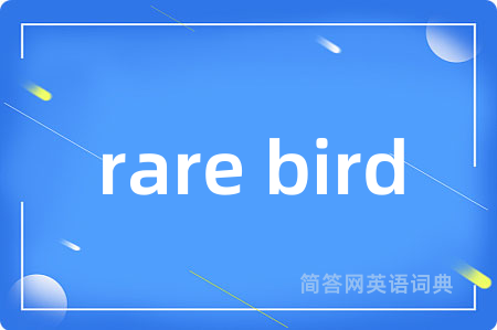 rare bird
