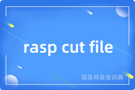 rasp cut file