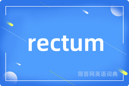 rectum