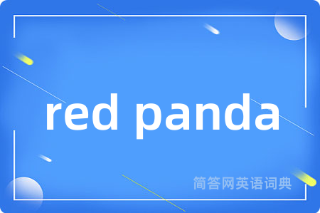 red panda