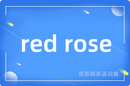 red rose