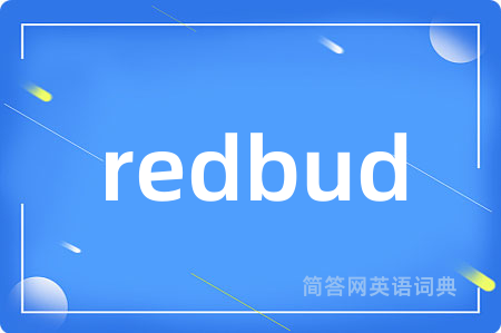 redbud是什么意思,redbud的中文翻译 redbud