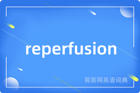 reperfusion是什么意思,reperfusion的中文翻译 reperfusion