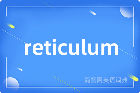 reticulum