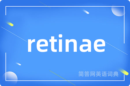 retinae是什么意思,retinae的中文翻译 retinae