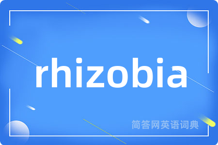 rhizobia是什么意思,rhizobia的中文翻译 rhizobia