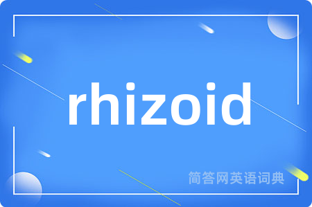 rhizoid是什么意思,rhizoid的中文翻译 rhizoid