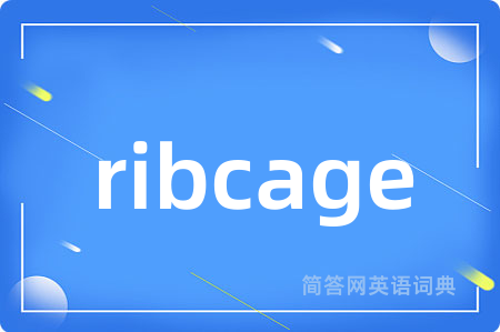 ribcage
