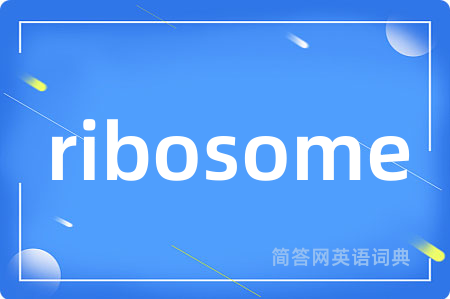 ribosome