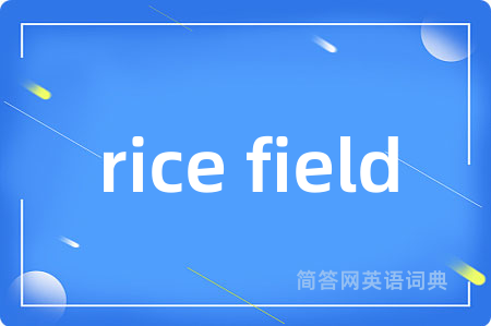 rice field是什么意思,rice field的中文翻译 rice field