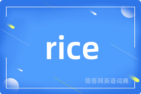 rice是什么意思,rice的中文翻译 rice