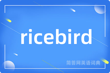 ricebird
