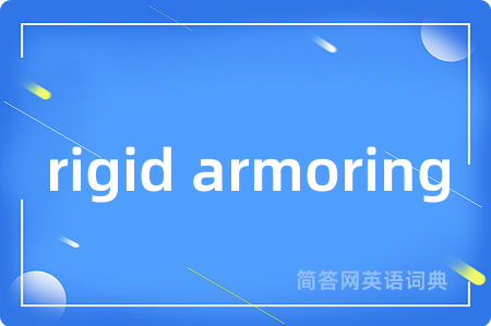 rigid armoring