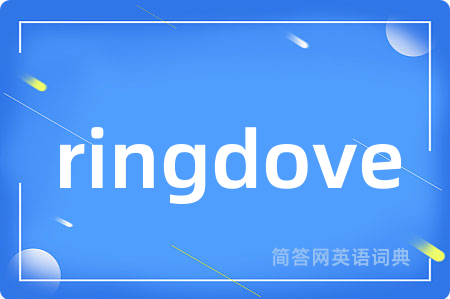 ringdove