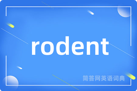 rodent