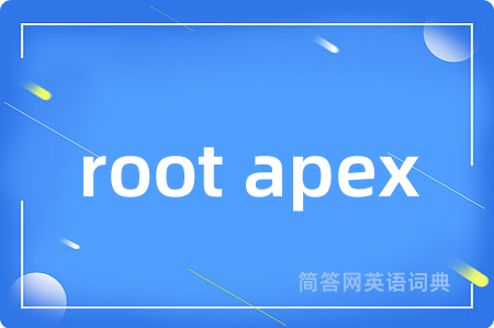 root apex