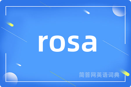 rosa
