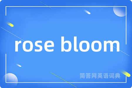rose bloom