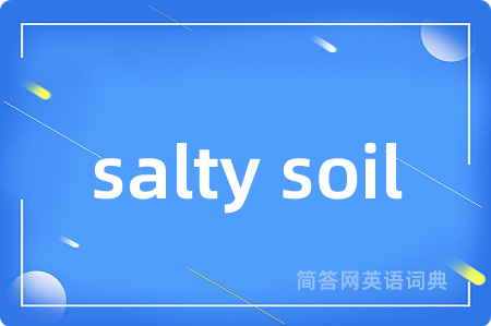 salty soil是什么意思,salty soil的中文翻译 salty soil