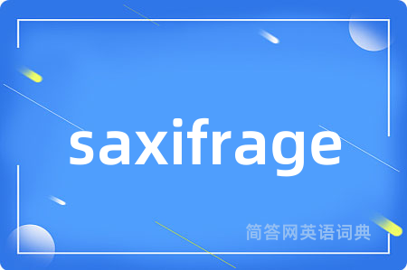 saxifrage