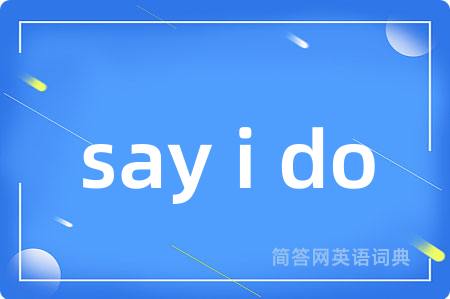 say i do是什么意思,say i do的中文翻译 say i do