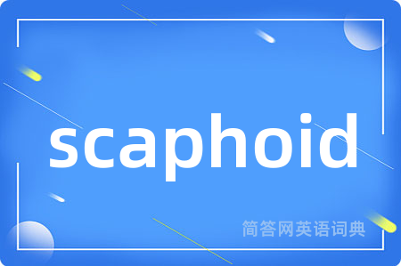 scaphoid
