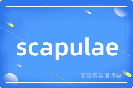scapulae
