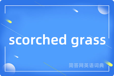 scorched grass