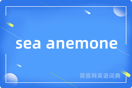 sea anemone