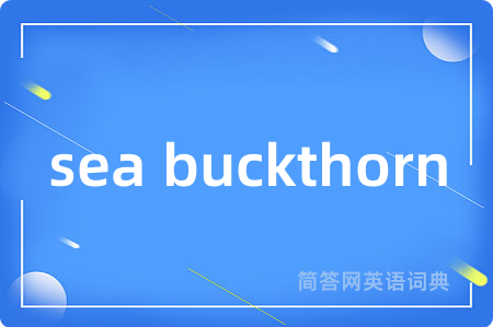 sea buckthorn