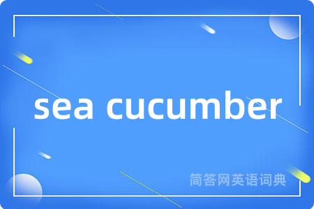 sea cucumber是什么意思,sea cucumber的中文翻译 sea cucumber