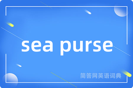 sea purse