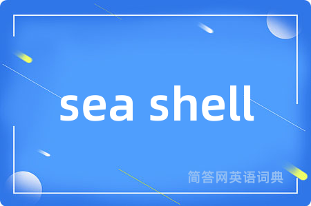sea shell是什么意思,sea shell的中文翻译 sea shell