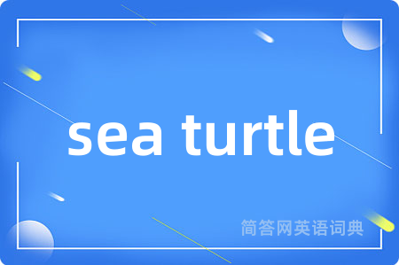 sea turtle