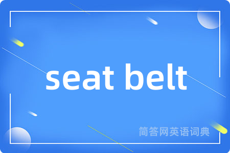 seat belt