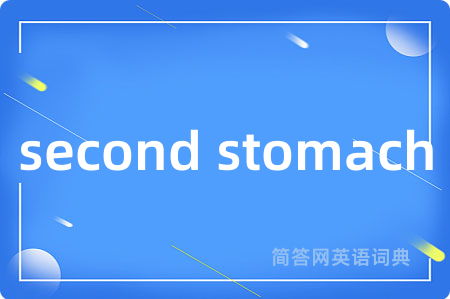 second stomach