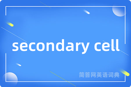 secondary cell