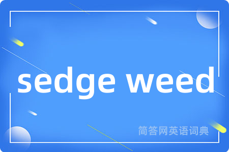 sedge weed