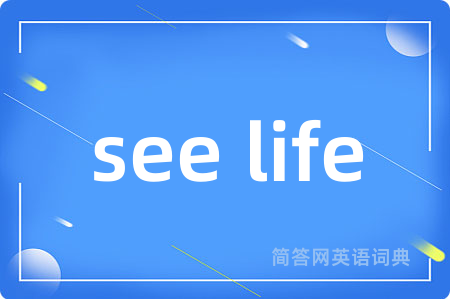 see life是什么意思,see life的中文翻译 see life