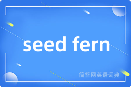 seed fern