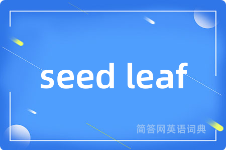seed leaf