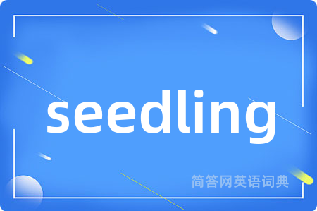 seedling