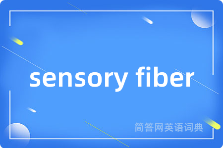 sensory fiber