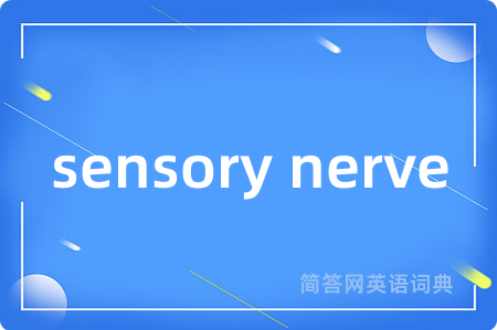 sensory nerve
