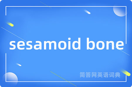 sesamoid bone