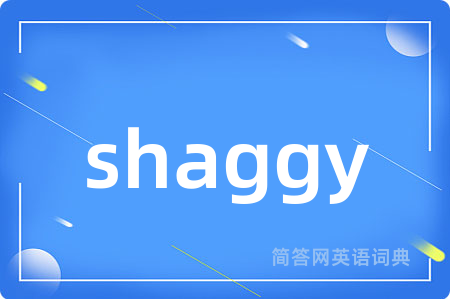 shaggy是什么意思,shaggy的中文翻译 shaggy